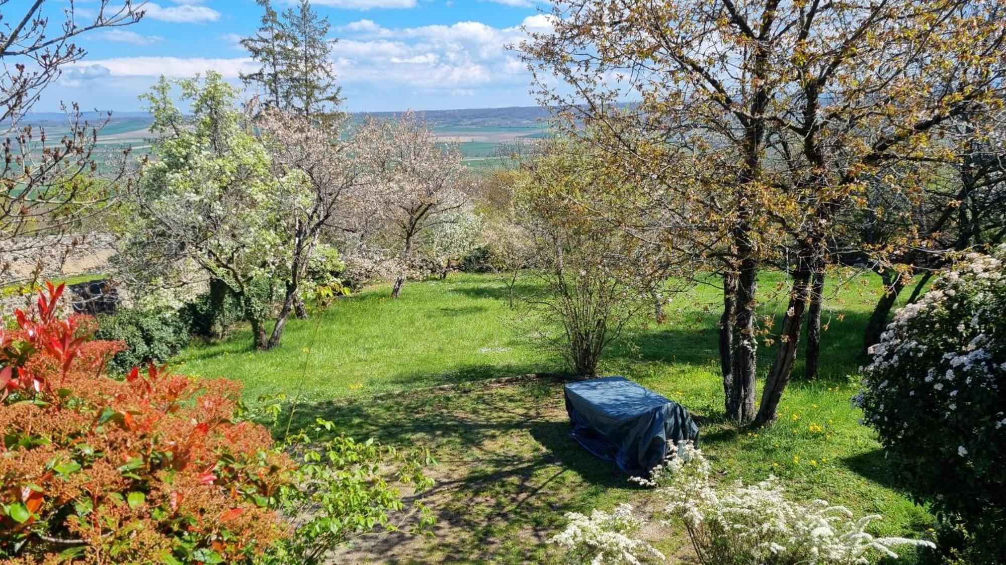 L'Oustalou - Wifi - Jardin - Campagne Villa Villeneuve  Kültér fotó